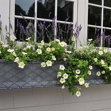 galvanized metal window boxes|36 inch metal window box.